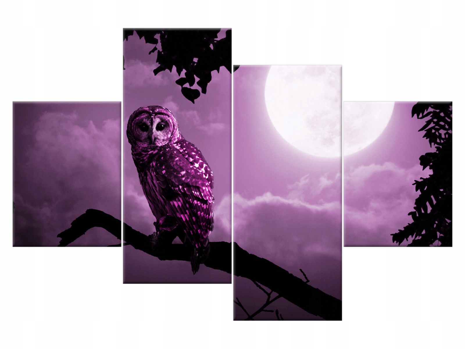 

Obraz na ścianę Sowa Nocny pejzaż z sową 120x80