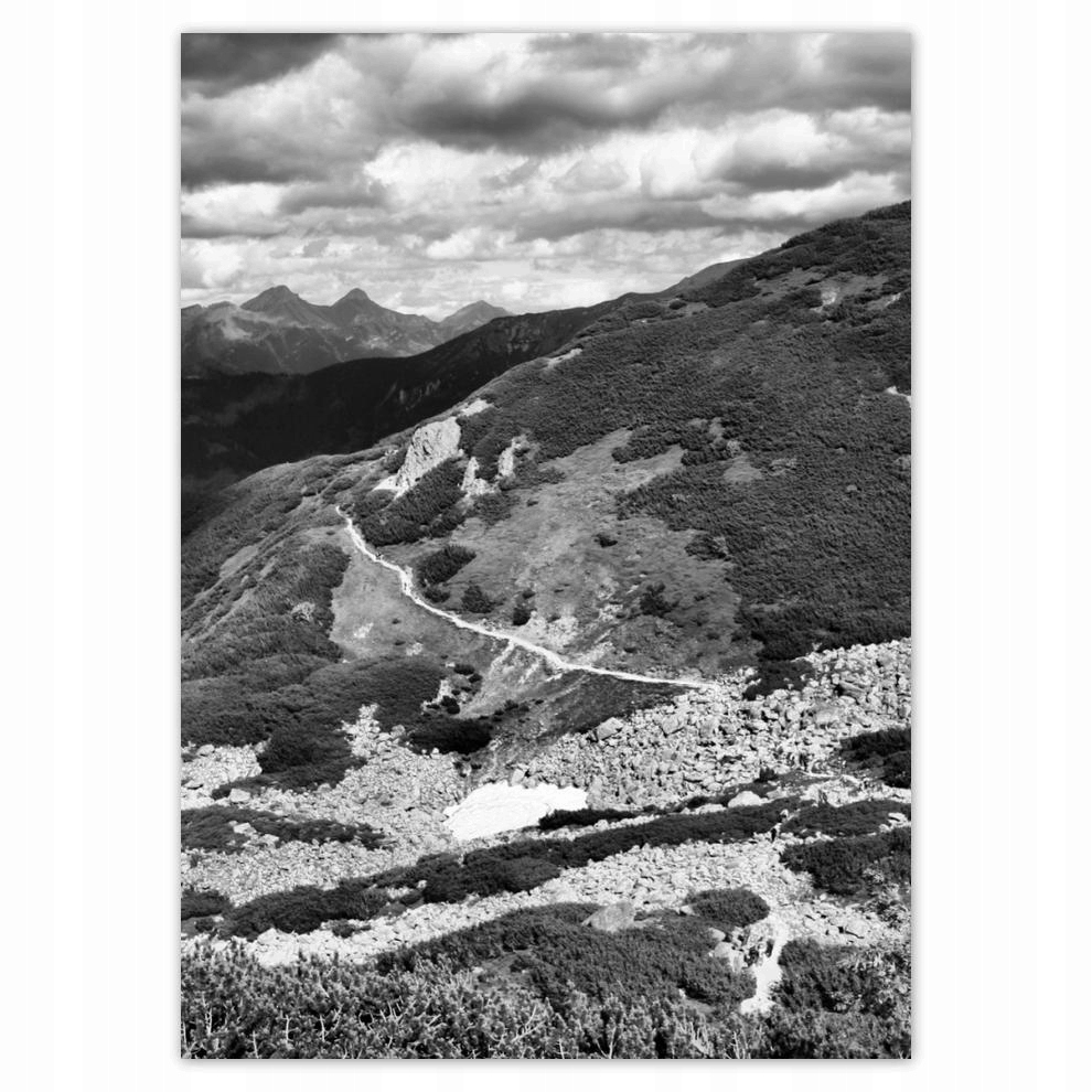 

Naklejki 50x70 Tatry Polskie góry Widok