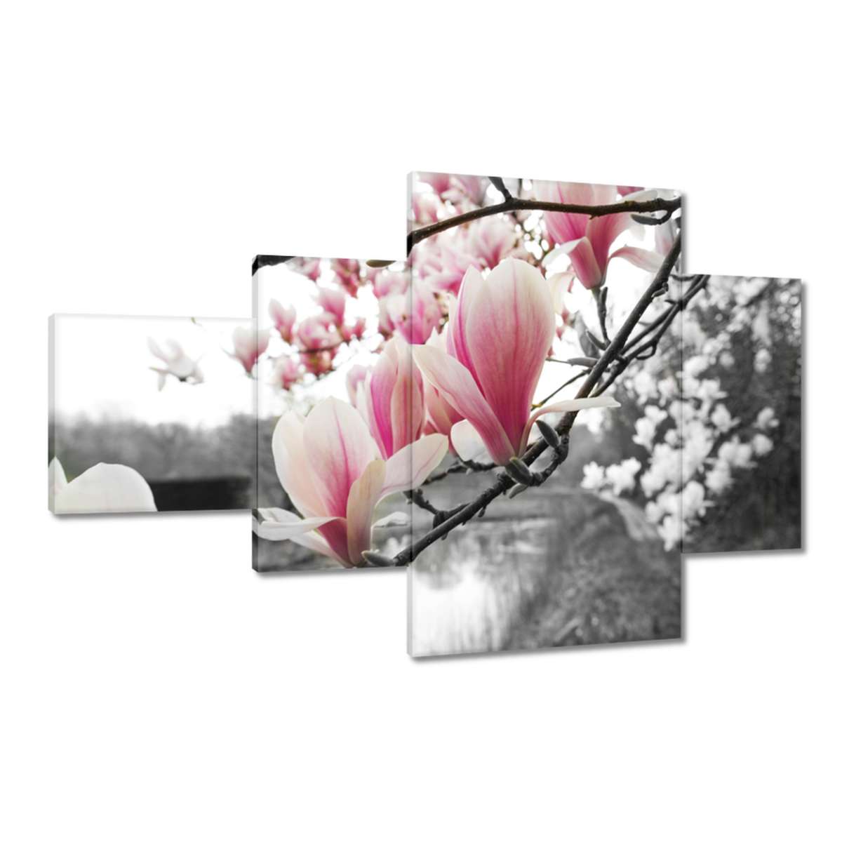 Obrazy 130x80 Magnolie Květiny