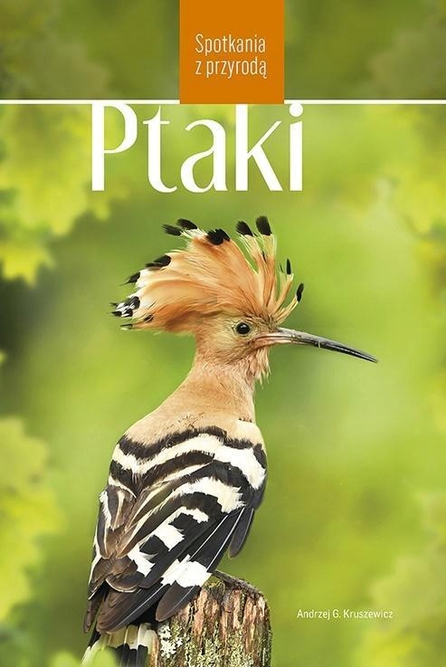 

Ptaki W Polsce. Spotkania Z Przyrodą