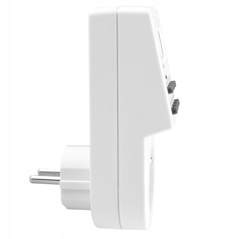 Programator czasowy cyfrowy Rodzaj programator czasowy