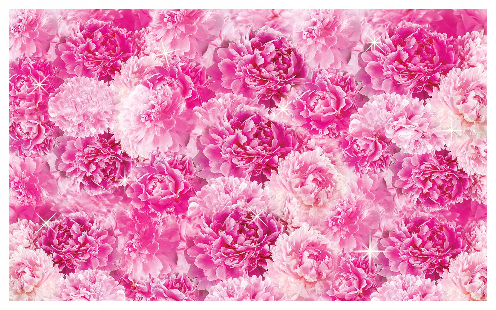 Vliesová fototapeta Růžové Pivoňky se třpytkami Elegance 254x184 lepidlo