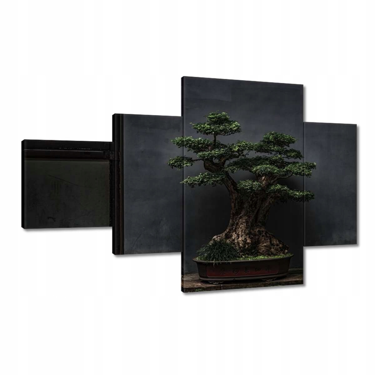 Obrazy 130x80 Bonsai Stromek Kultura