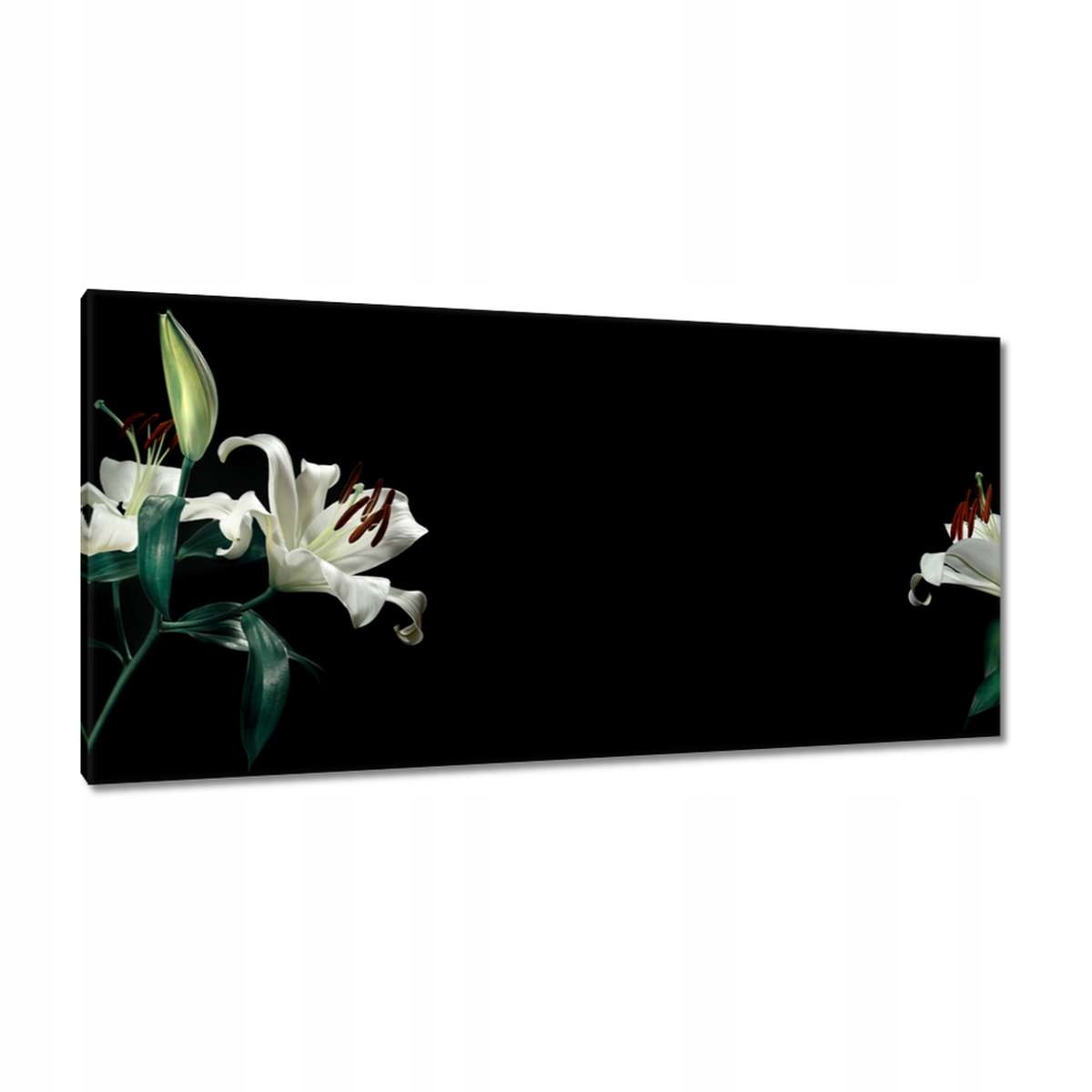Obrazy 115x55 Krásná bílá lilie