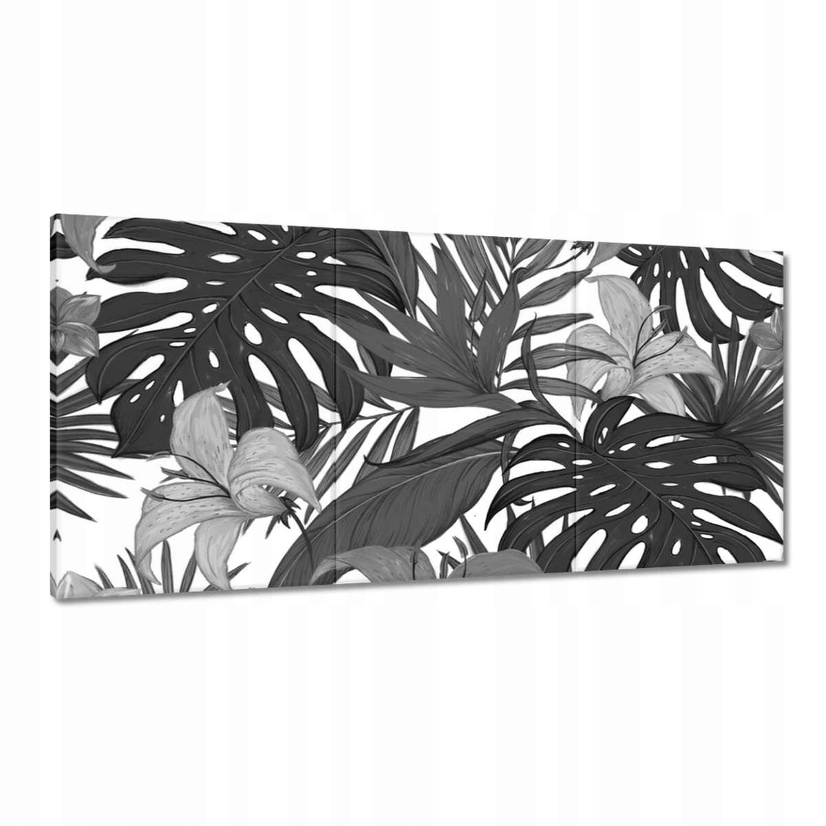 Obrazy 180x90 Čiernobiela monstera