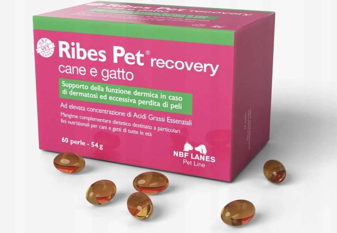 Ribes Pet recovery Cane e Gatto 60 kaps Nbf Lanes pies i kot