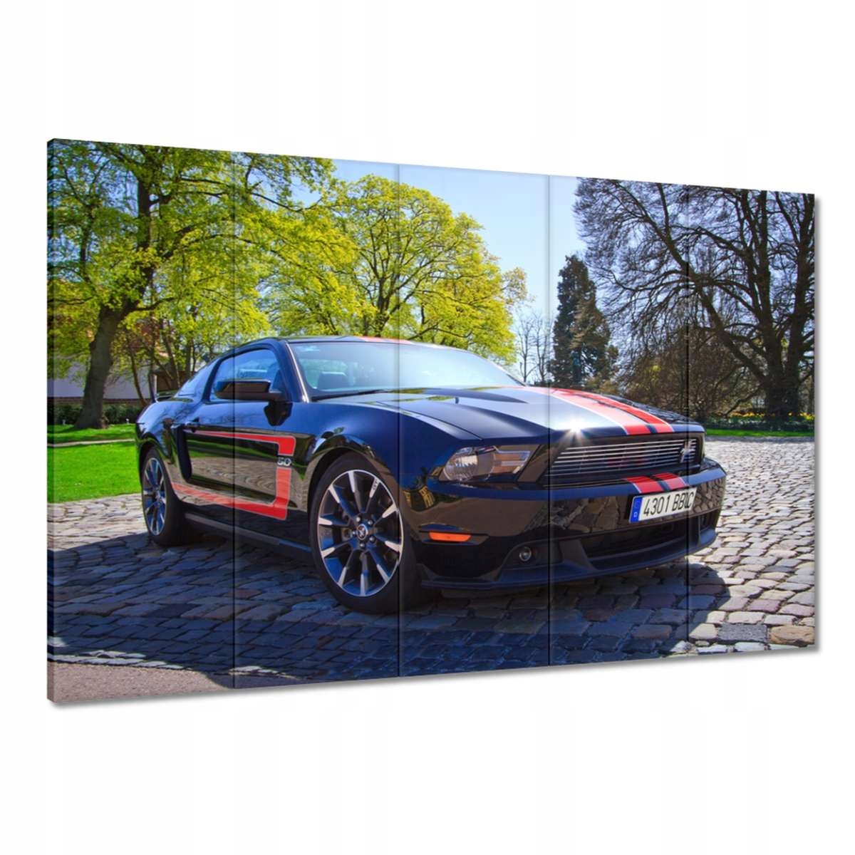 Obrazy 100x70 Ford Mustang s pruhy