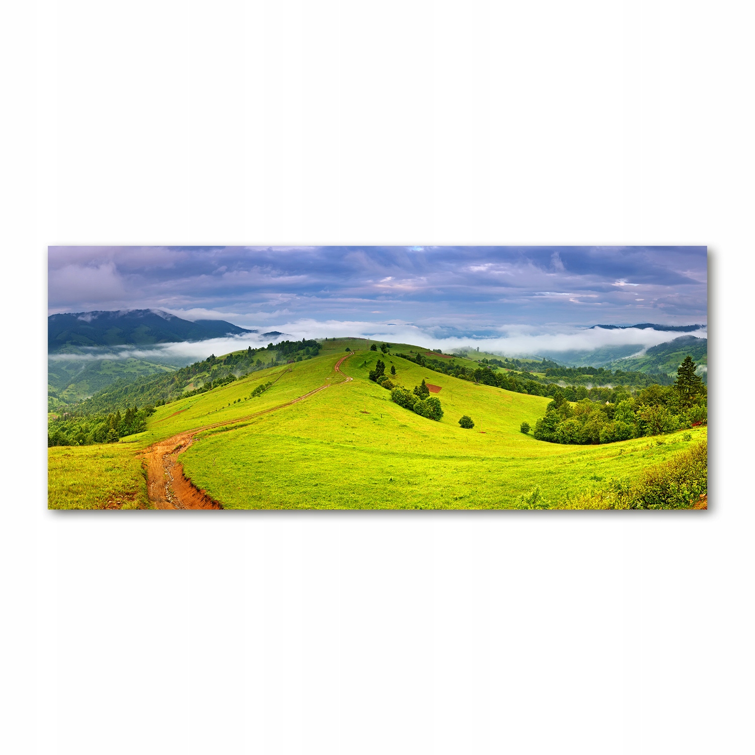 

Foto obraz akryl zdjęcie Zielone wzgórza 125x50 cm