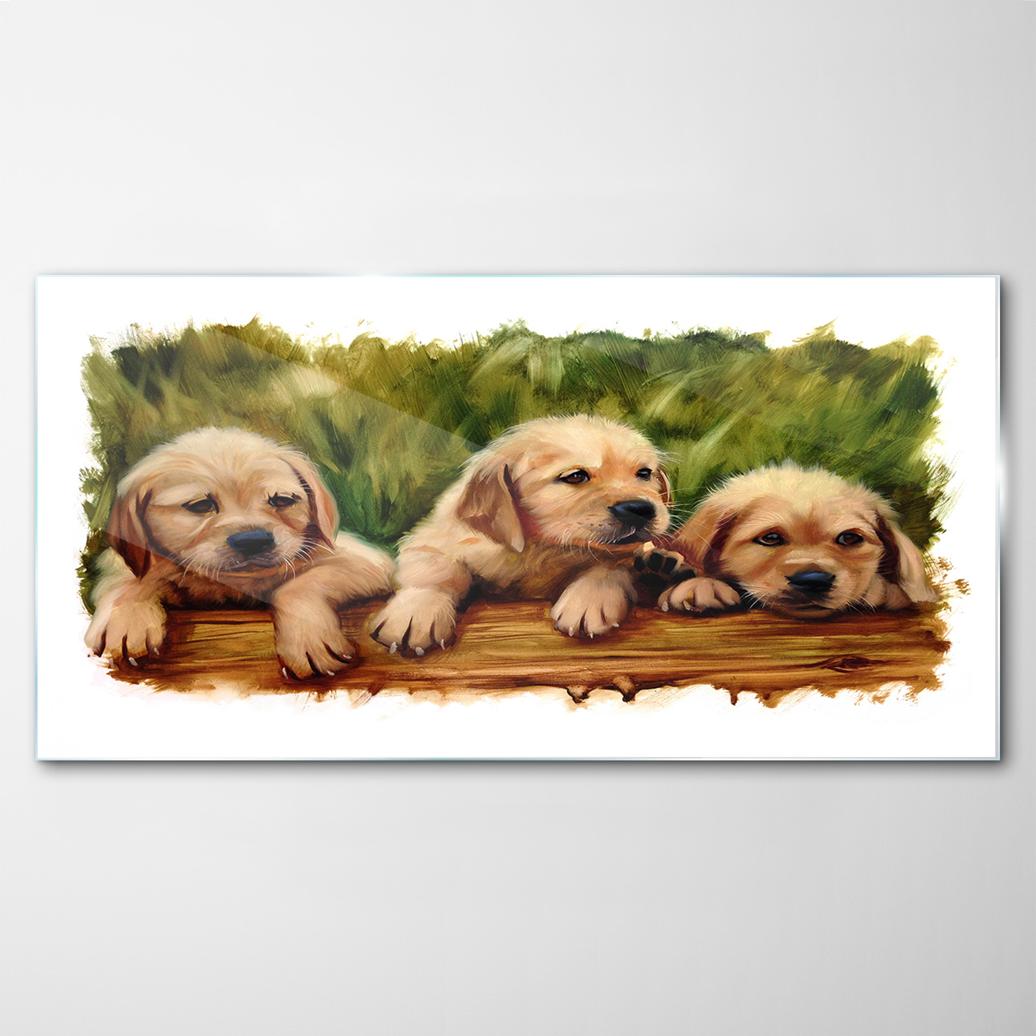 Tvrdený sklenený obraz Psy Zvieratá Tráva 100x50