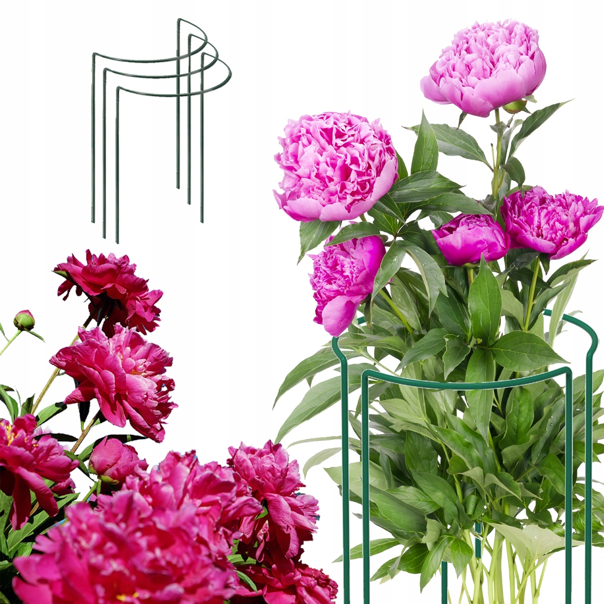 

Podpórka do roślin piwoni 3 sztuki metalowa 75 cm
