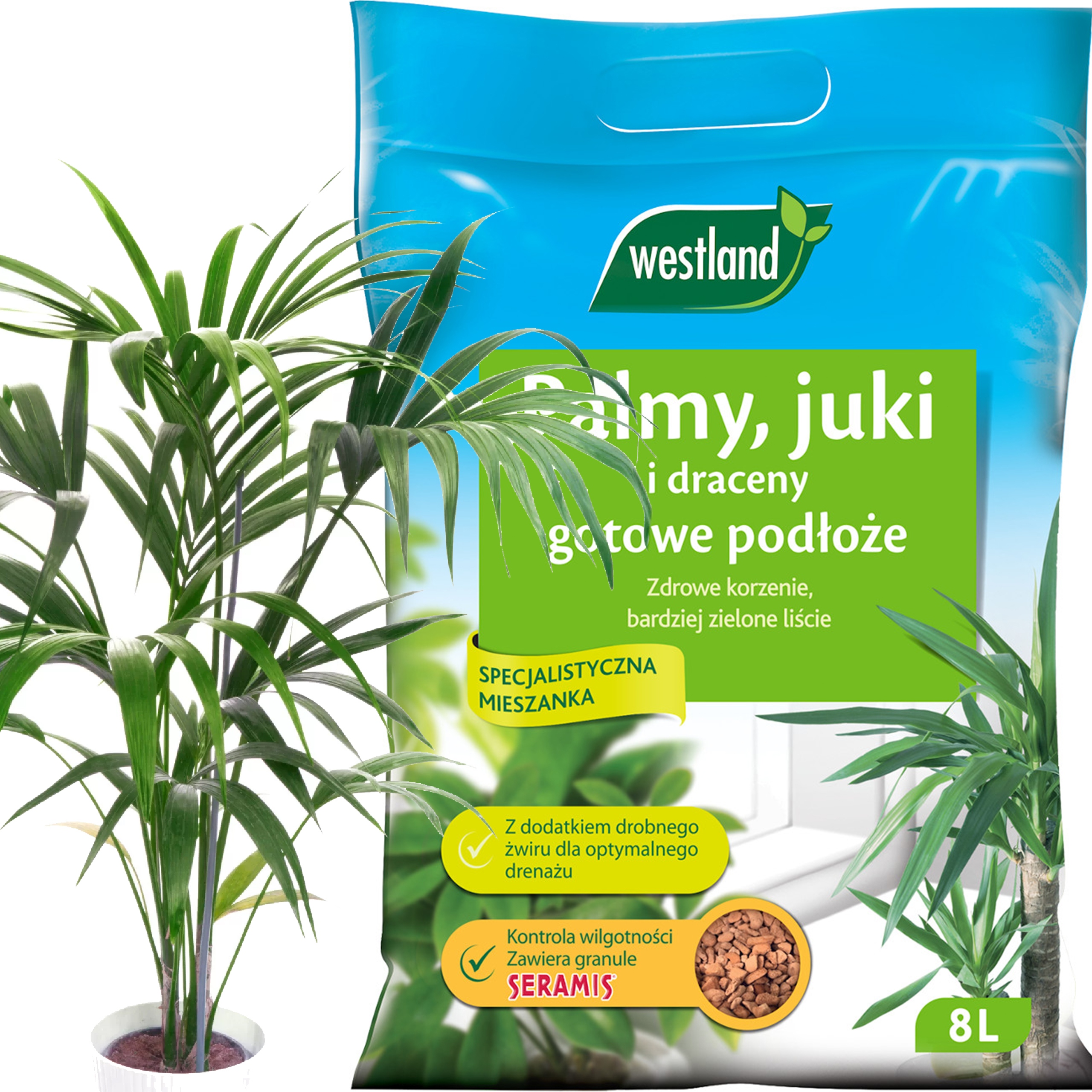 

Podłoże z Seramis do Juk Palm Dracen 4 L Westland