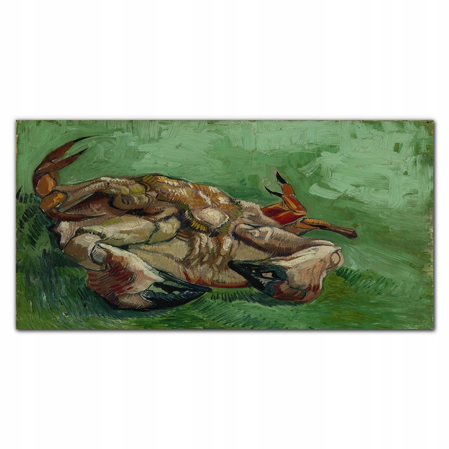Obraz na plátne Krab na jeho zadnú stranu Van Gogh 140x70