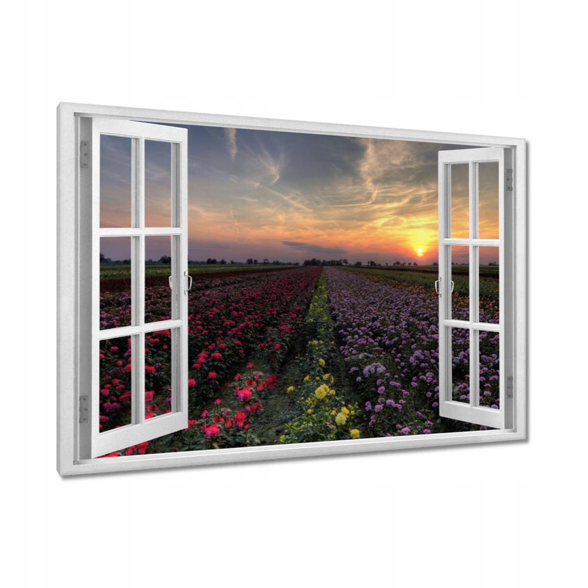 Obrazy 120x80 Západ na poli květin