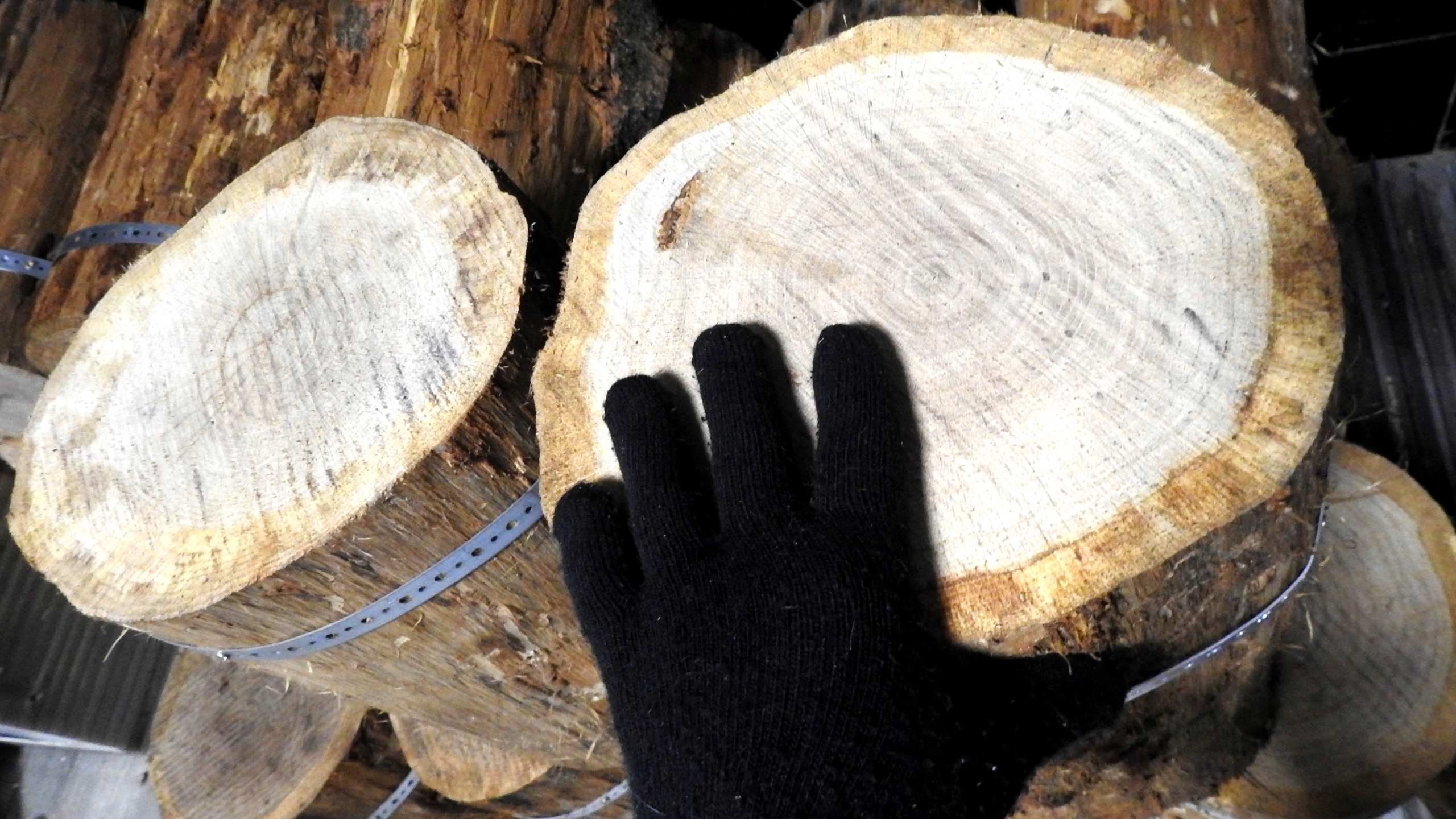 Pniak, kłódka, pieniek, podstawa do rąbania drewna Szerokość produktu 20 cm