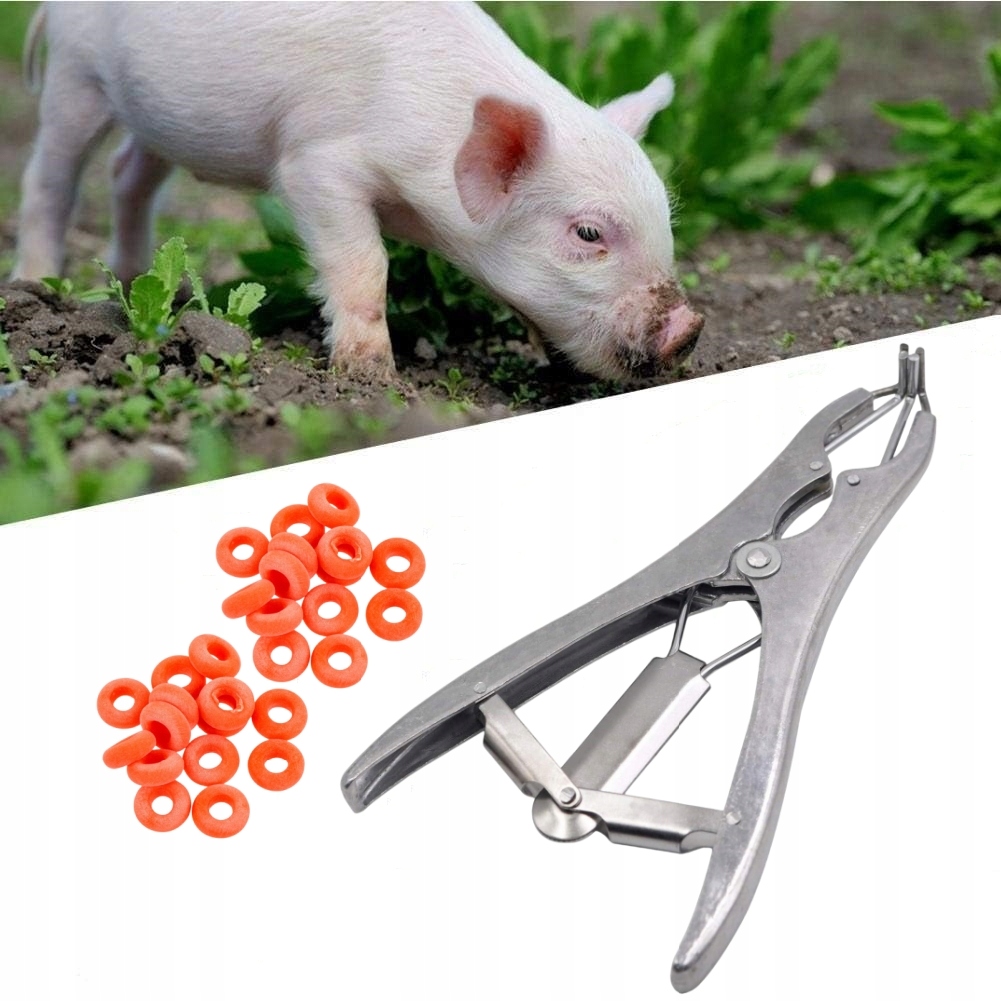 ZESTAW DO KASTRACJI TRZODY ELASTRATOR + 100 GUMEK Marka bez marki