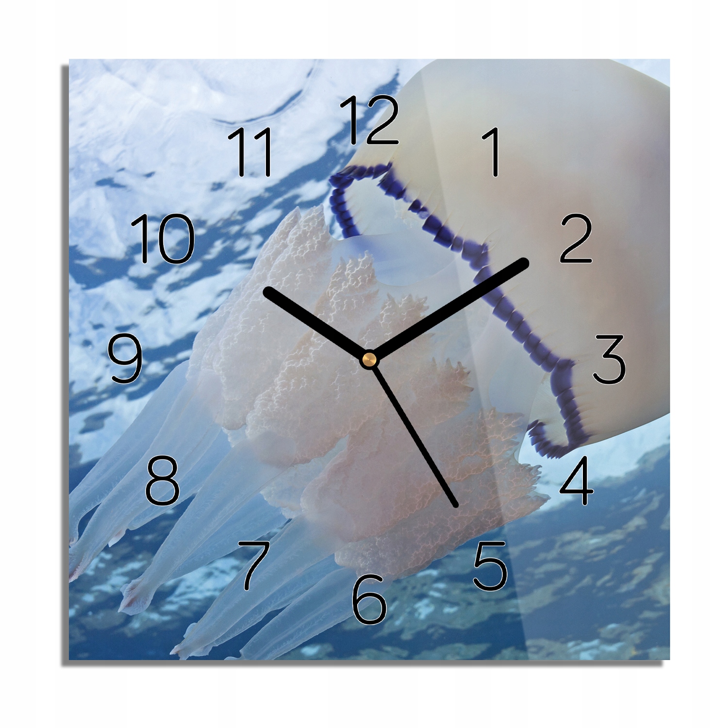 

Meduza morze ocean zegar szklany do salonu 30x30
