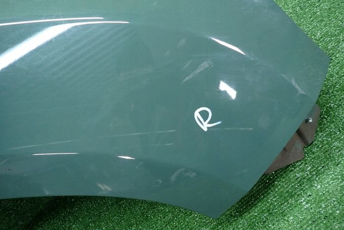 DACIA DUSTER II 17- fender right front front