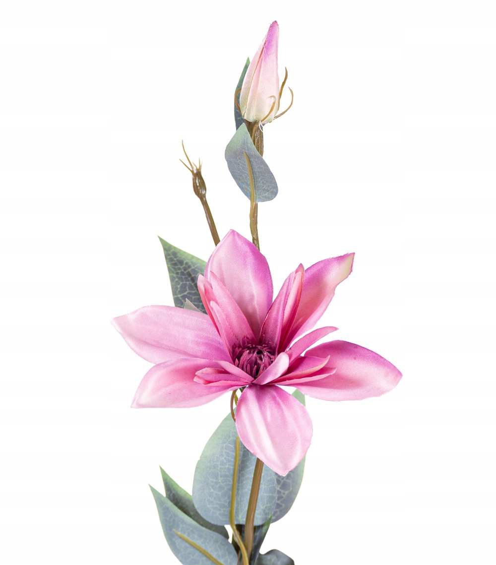 

Klematis Różowo Fioletowy Sztuczne Kwiaty Clematis