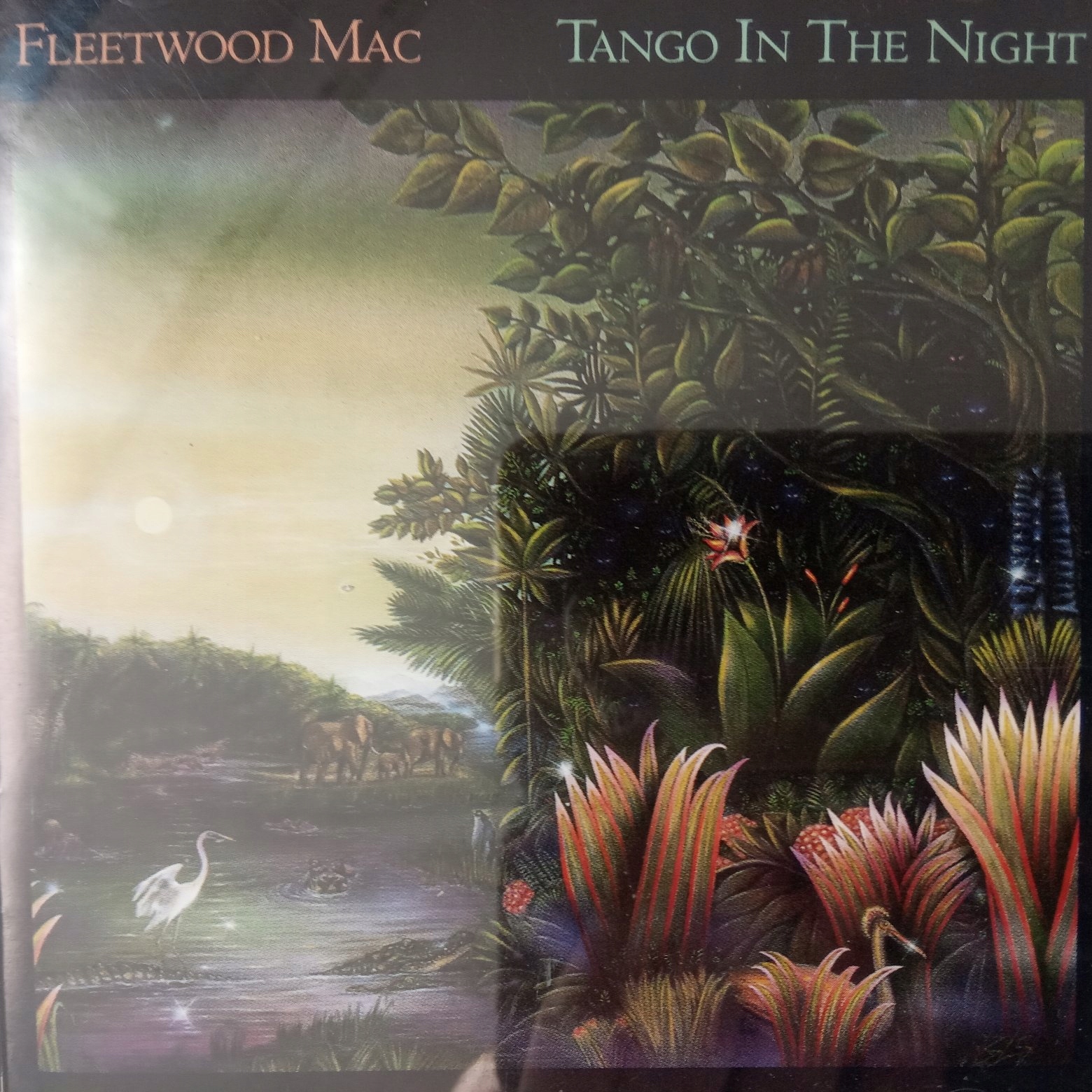Tango in the Night (Expanded) (2CD) | The Music Store