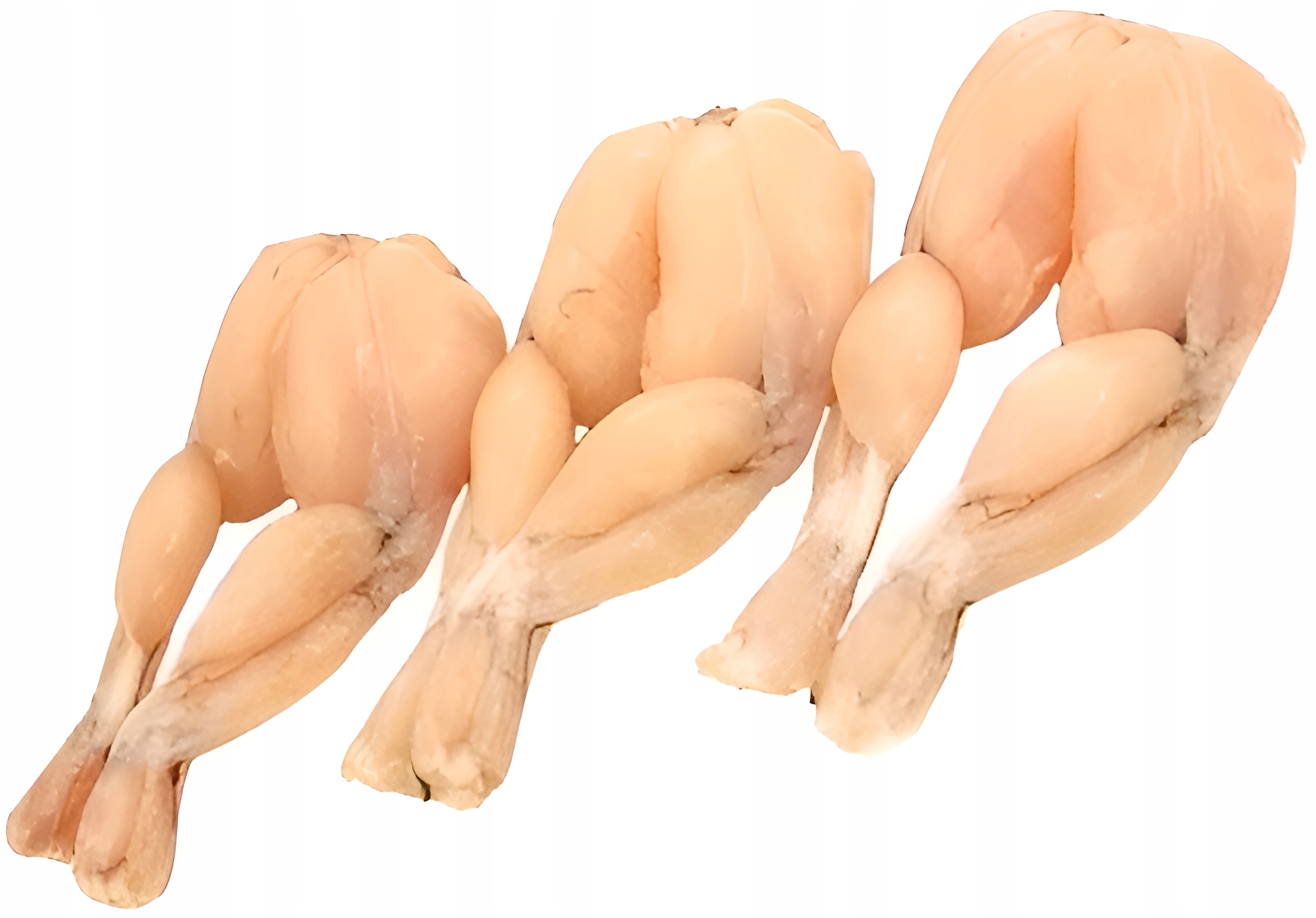 Żabie Udka 8/12 szt/lb Delikatne Mięso 2/1,6 kg