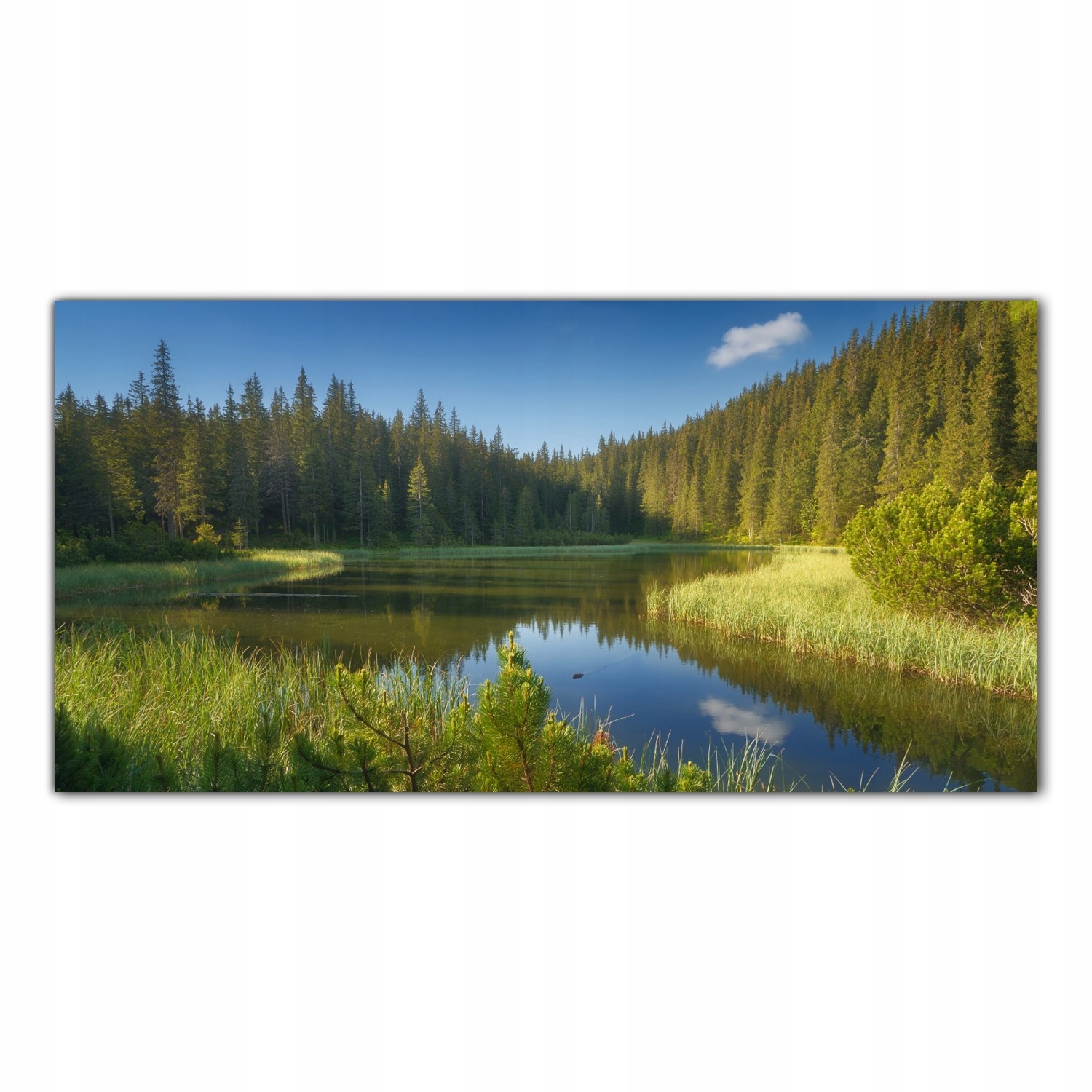 Jezero Hory Les Stromy 120x60 Lacobel do kuchyně