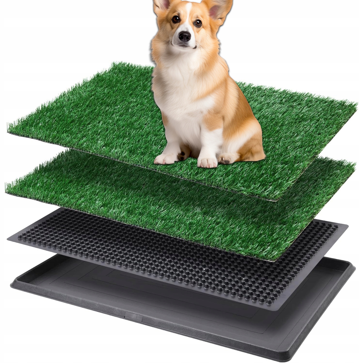 Trávník Pro Výuku Používání Toalety Pro Psy Vhodný Pro Štěňata