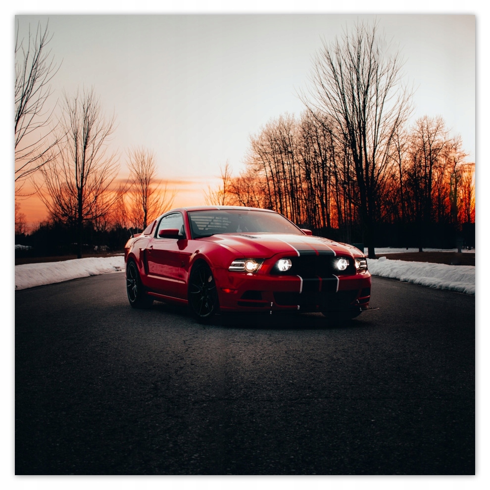 

Fototapety flizelina 208x208 Ford Mustang