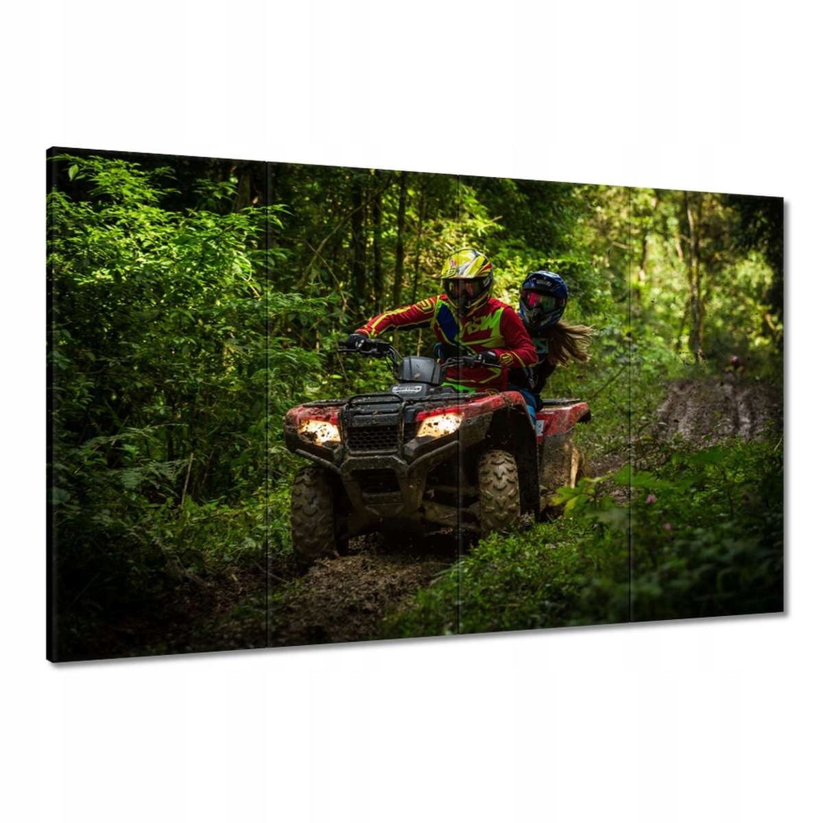 Obrazy 120x80 Quad Čtyři kolečka Terén