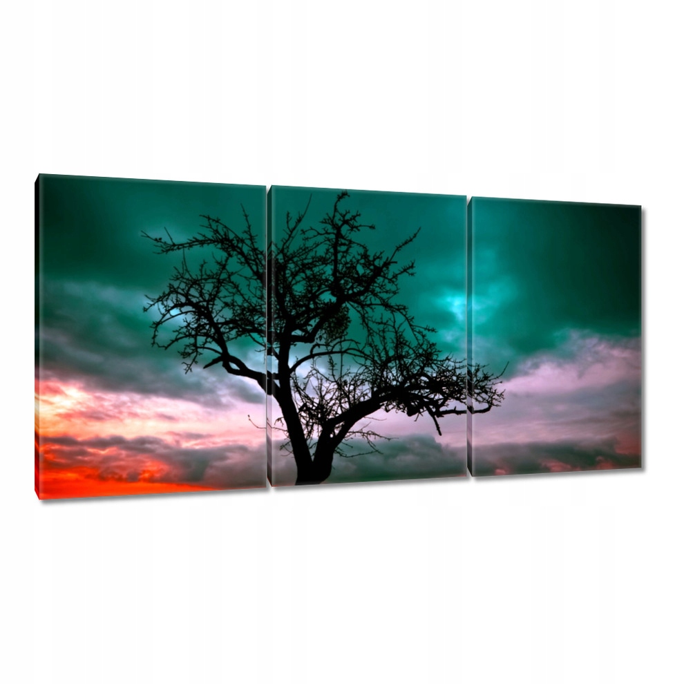 

Obrazy 120x60 Zachód słońca na pustyni