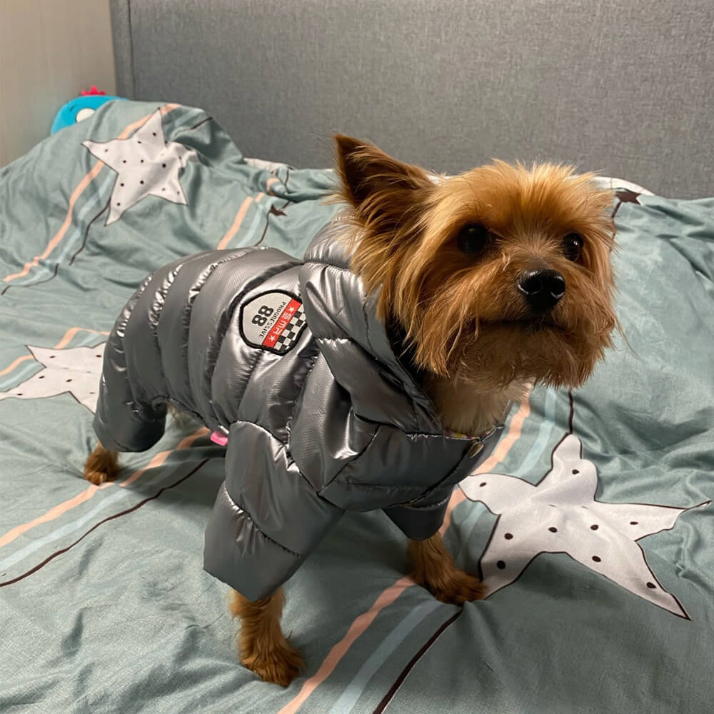 Levně Zateplená kombinéza pro psa Winterperle XL