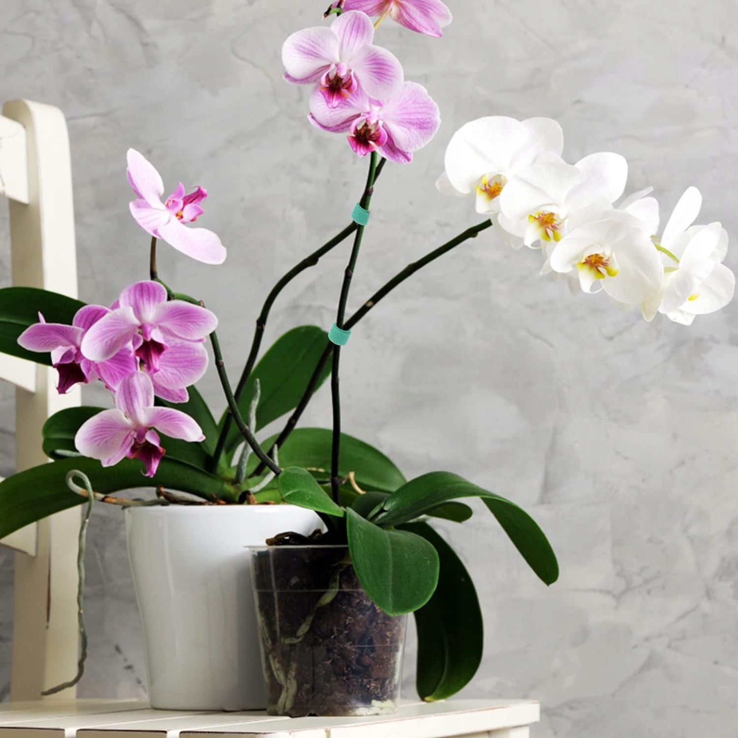 RZEP TAŚMA DO KWIATÓW POMIDORÓW WIĄZANIA ROŚLIN KRZEWÓW DRZEWEK - 5 METRÓW Materiał wykonania tworzywo sztuczne