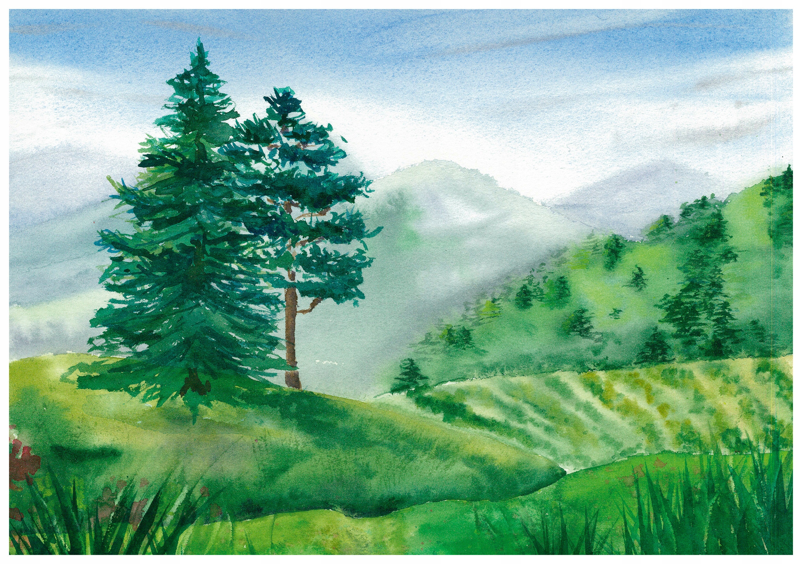 Vliesová fototapeta Zelené kopce a ihličnaté stromy 350x250 lepidlo