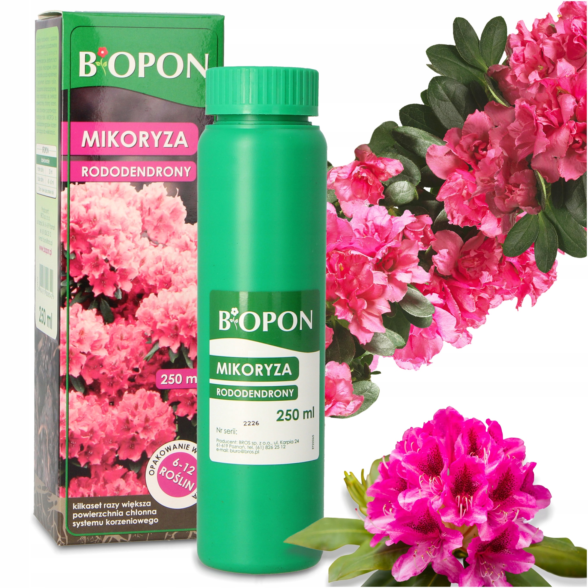 

Mikoryza Borówek Rododendronów Azalii Grzybnia 250