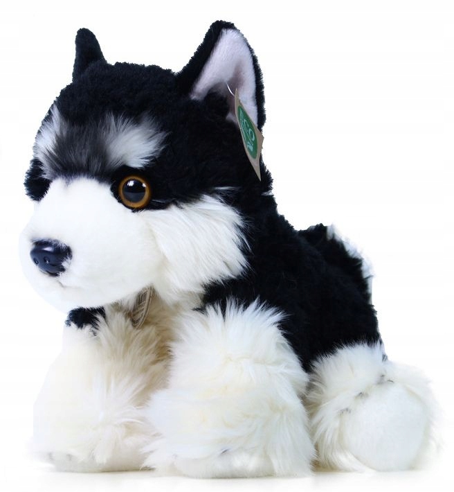 

Maskotka Malamute Alaskan Pies Piesek Pluszak