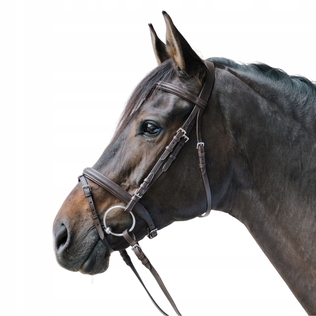 Ohlávka pro koně Lifestyle Star Hnědá Pony