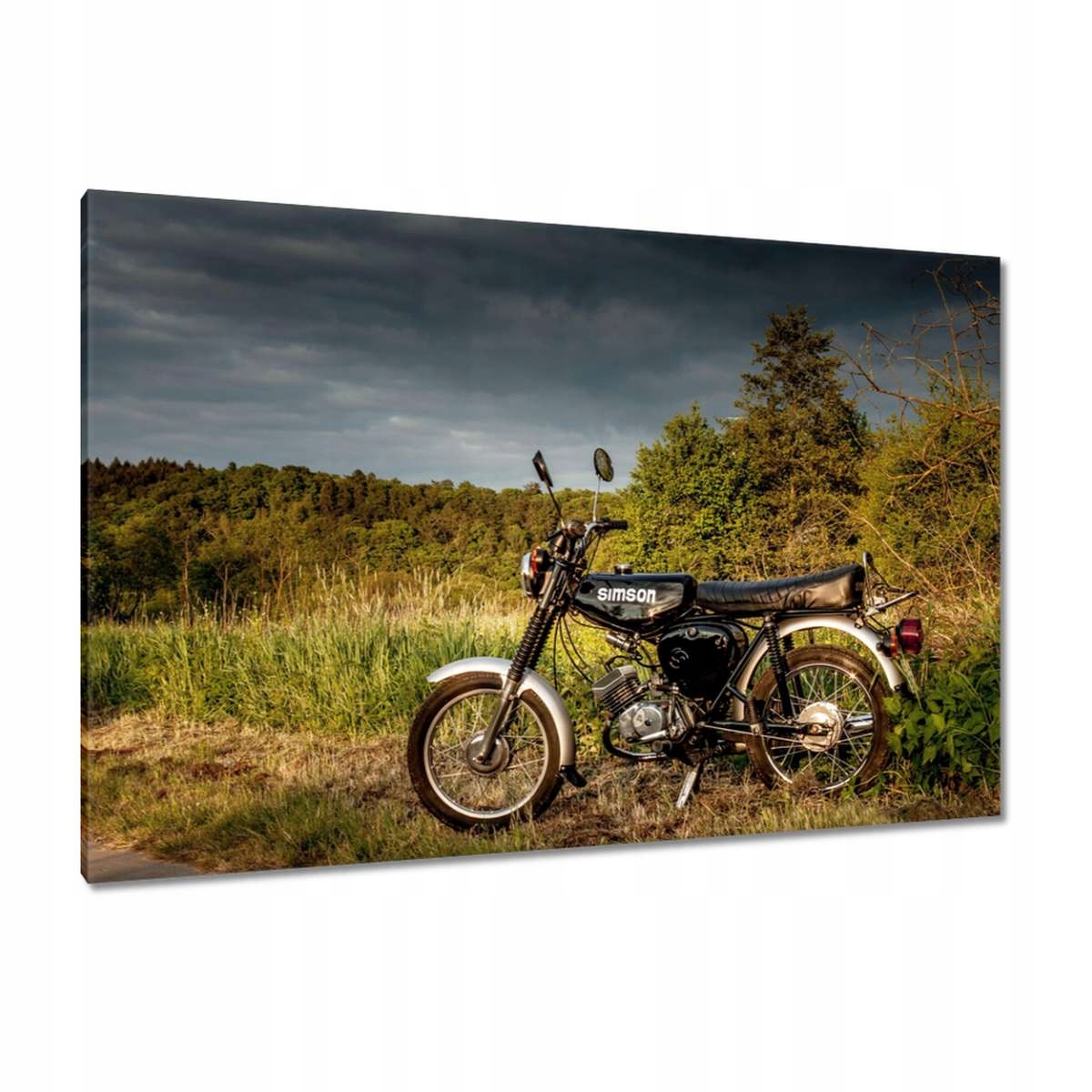 Obrazy 120x80 Černý Simson