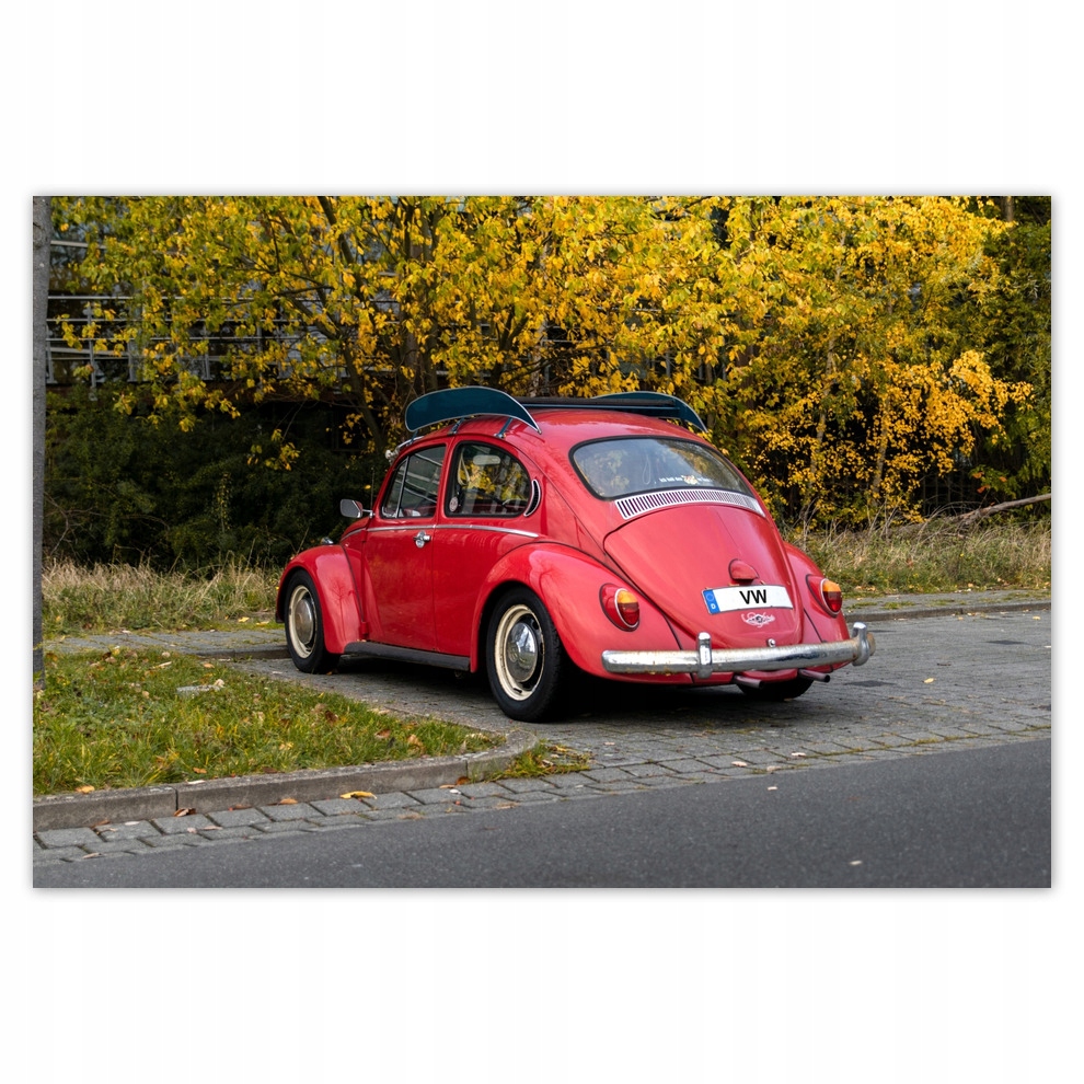 

Fototapety flizelina 104x70 Garbus Volskwagen Vw