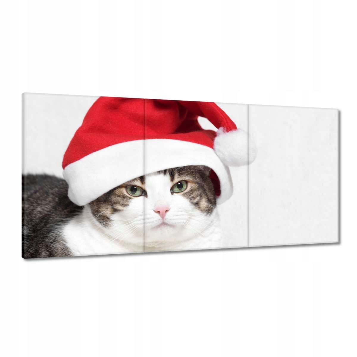 Obrazy 180x90 Mačka Mačiatka Kicia