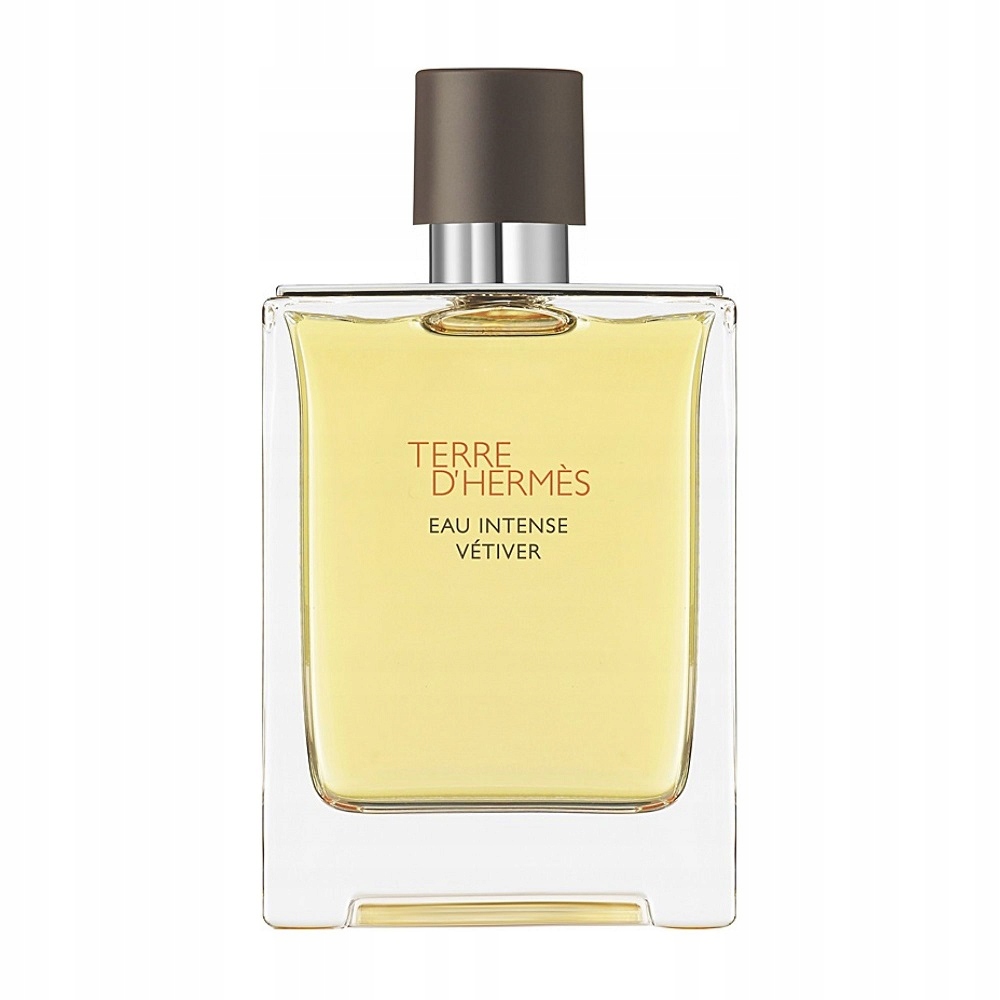 Hermes Terre D'Hermes Eau Intense Vetiver parfémovaná voda sprej 100 ml