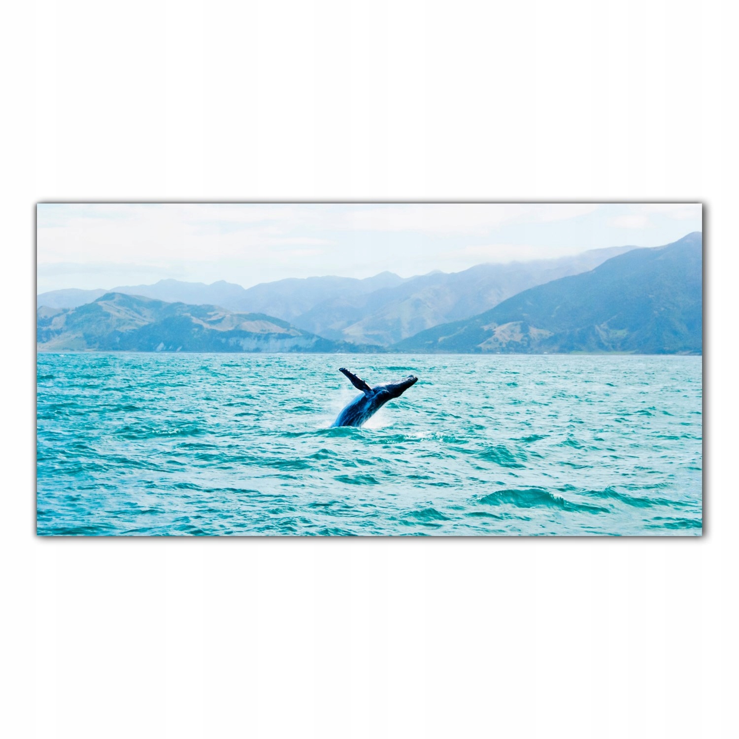 Velryba Hory Moře 120x60 Skleněný panel do kuchyně