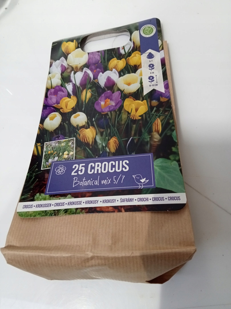 Cebulki Crocus Botanical Mix 5/7 Krokusy
