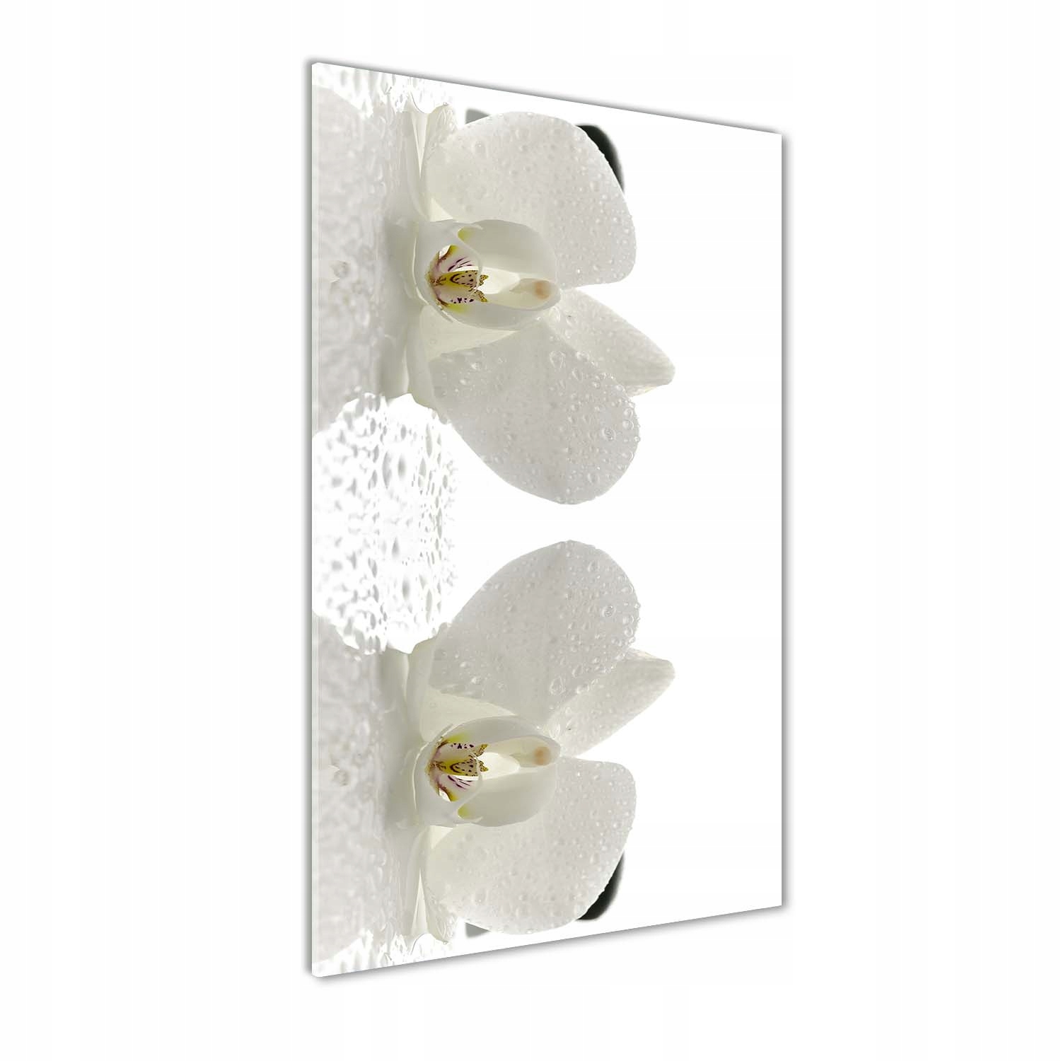 

Foto obraz akrylowy Orchidea i kamienie 60x120cm