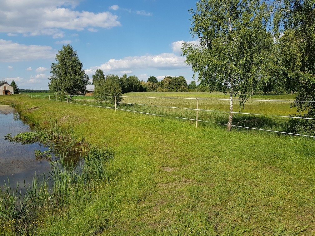 Taśma do pastucha elektrycznego ogrodzeniowa 20 mm 200 metrów koń konie Marka Profarmer.eu