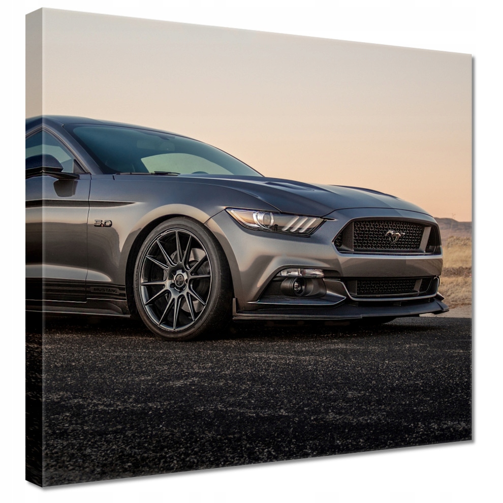 

Obrazy 50x50 Ford Mustang made in Usa