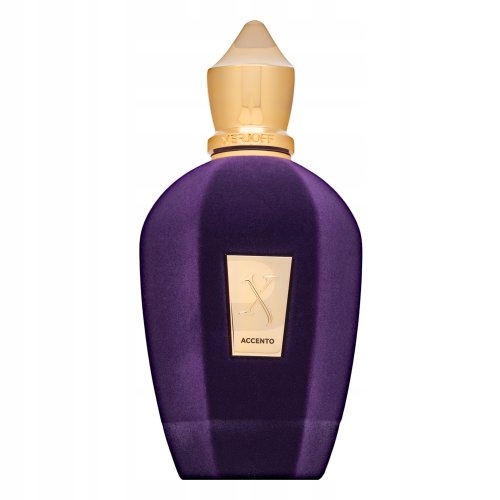 Xerjoff Accento parfémovaná voda unisex 100 ml