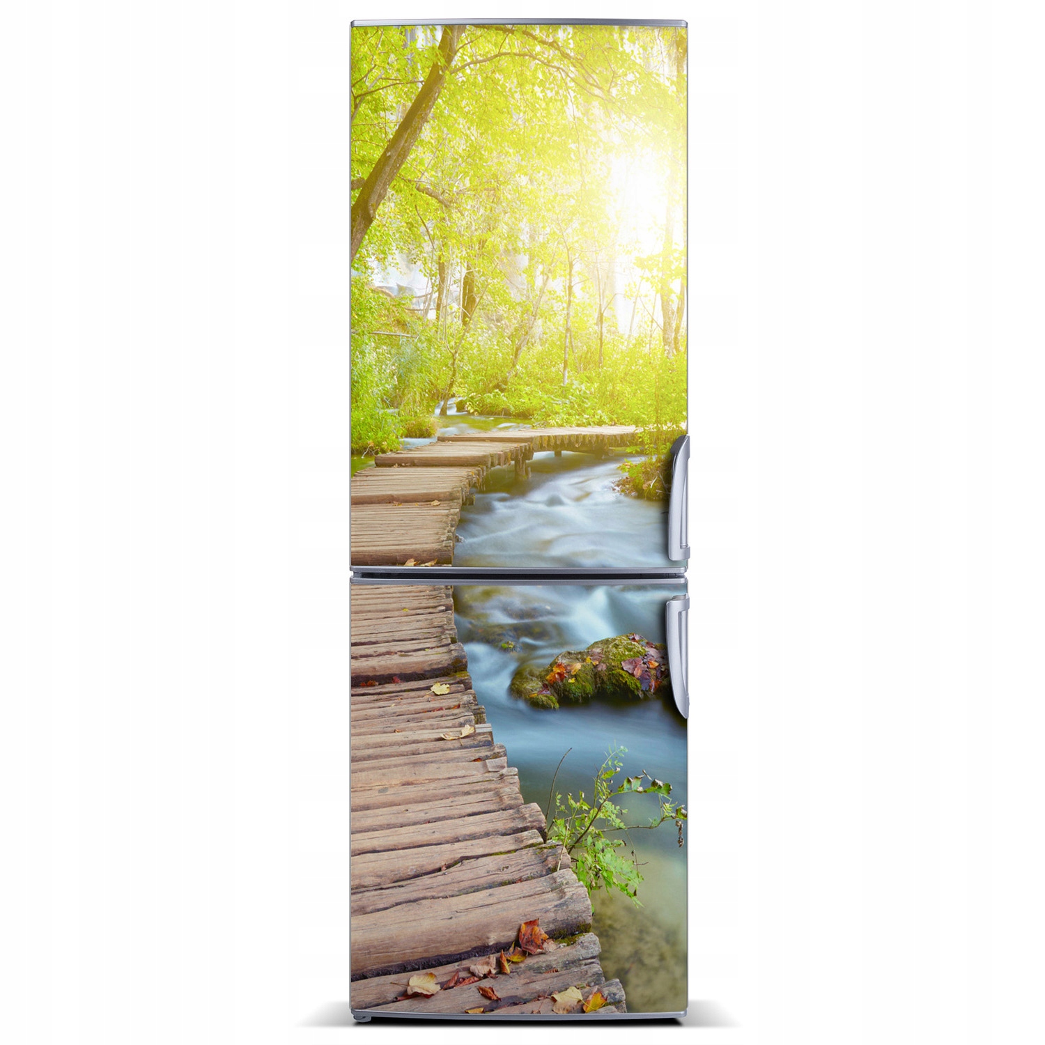 

Magnes Tapeta na lodówkę Ścieżka w lesie 60x180