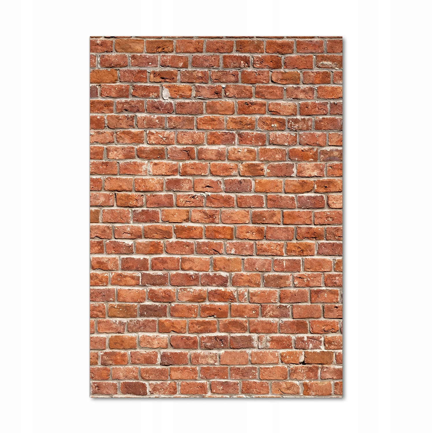 

Foto obraz akryl do salonu Ceglana ściana 70x100cm