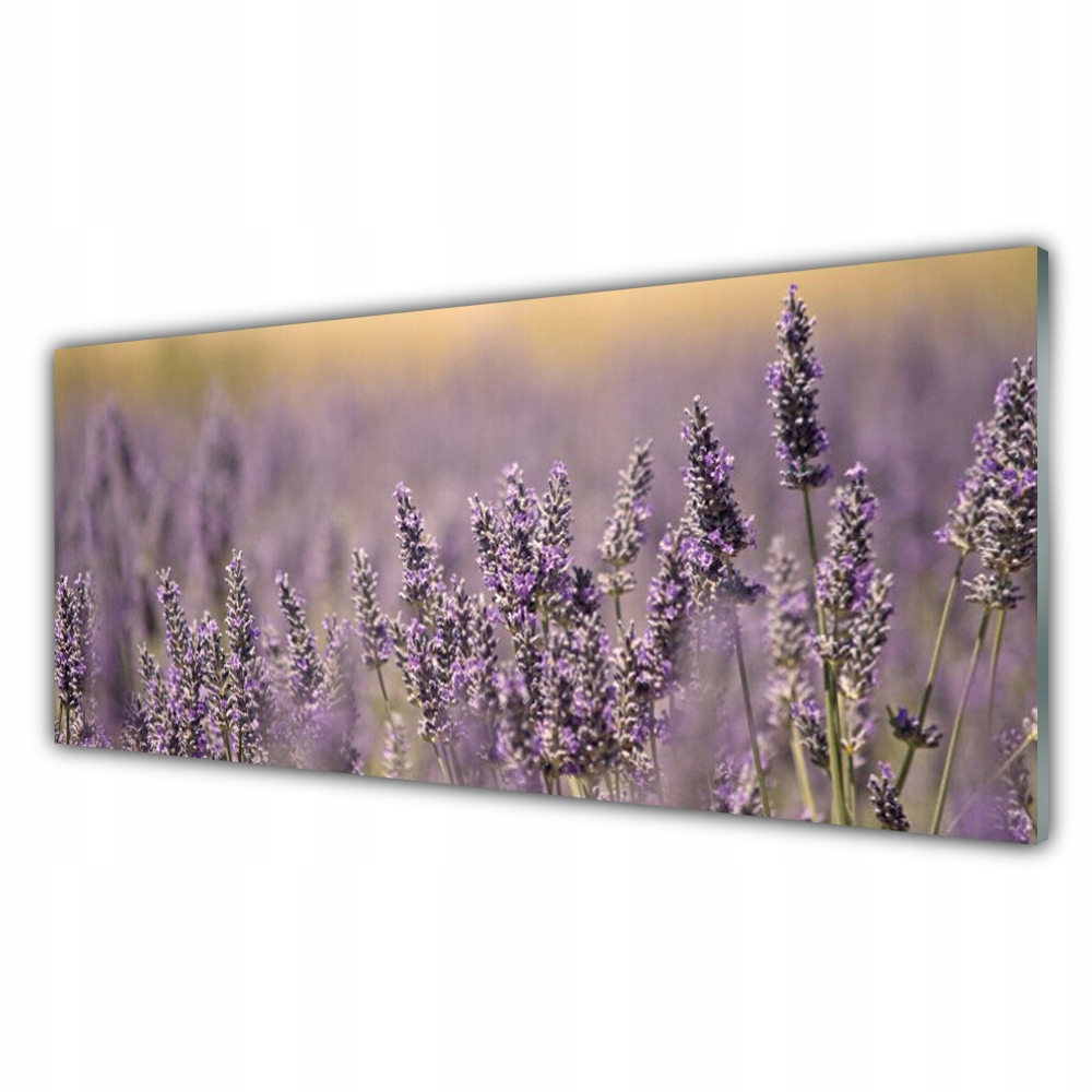 

Obraz akryl na ścianę 125x50 Kwiaty Roślina Natura