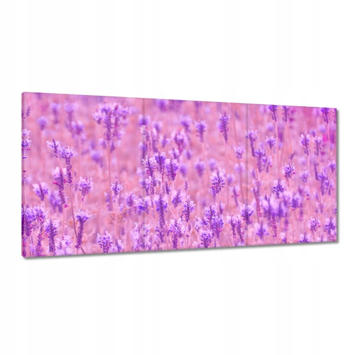 Obrazy 180x90 Levanduľové more