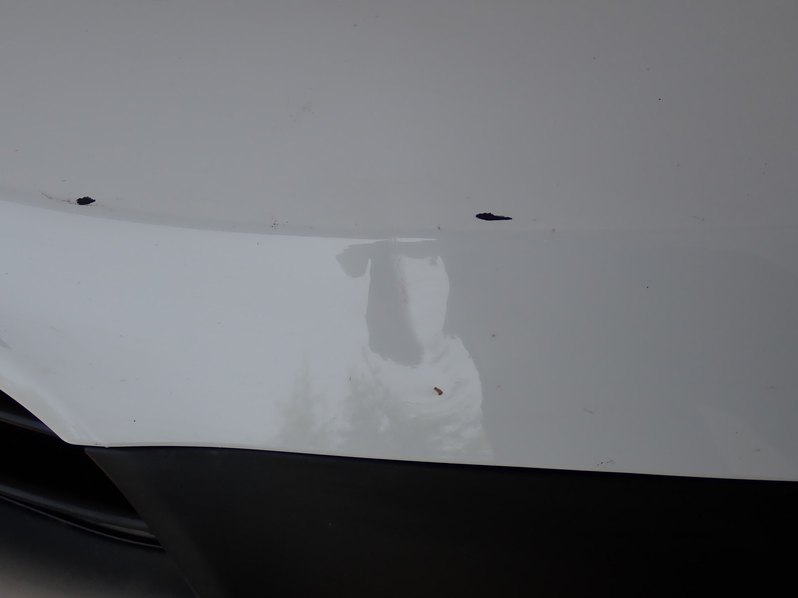 bumper front front TOYOTA PROACE 2016- 9811847477